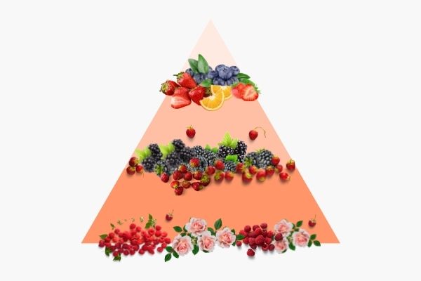 Pyramide olfactive Tutti Frutti